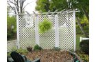 Property photo 8 - 3 Bedroom, 2 Bath, Waynedale Area Home Auction